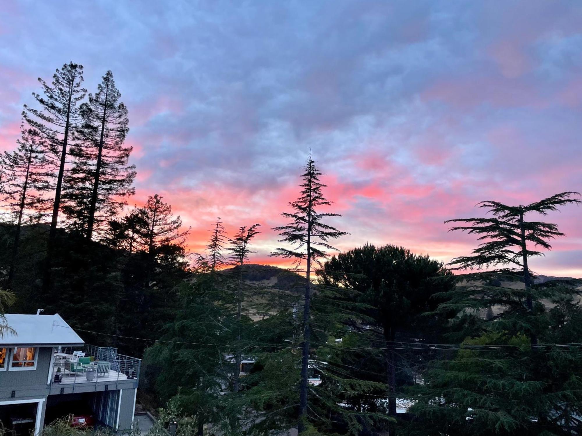 Luxury Suite With Views - San Rafael, Gateway To Sf & Wine Country Экстерьер фото
